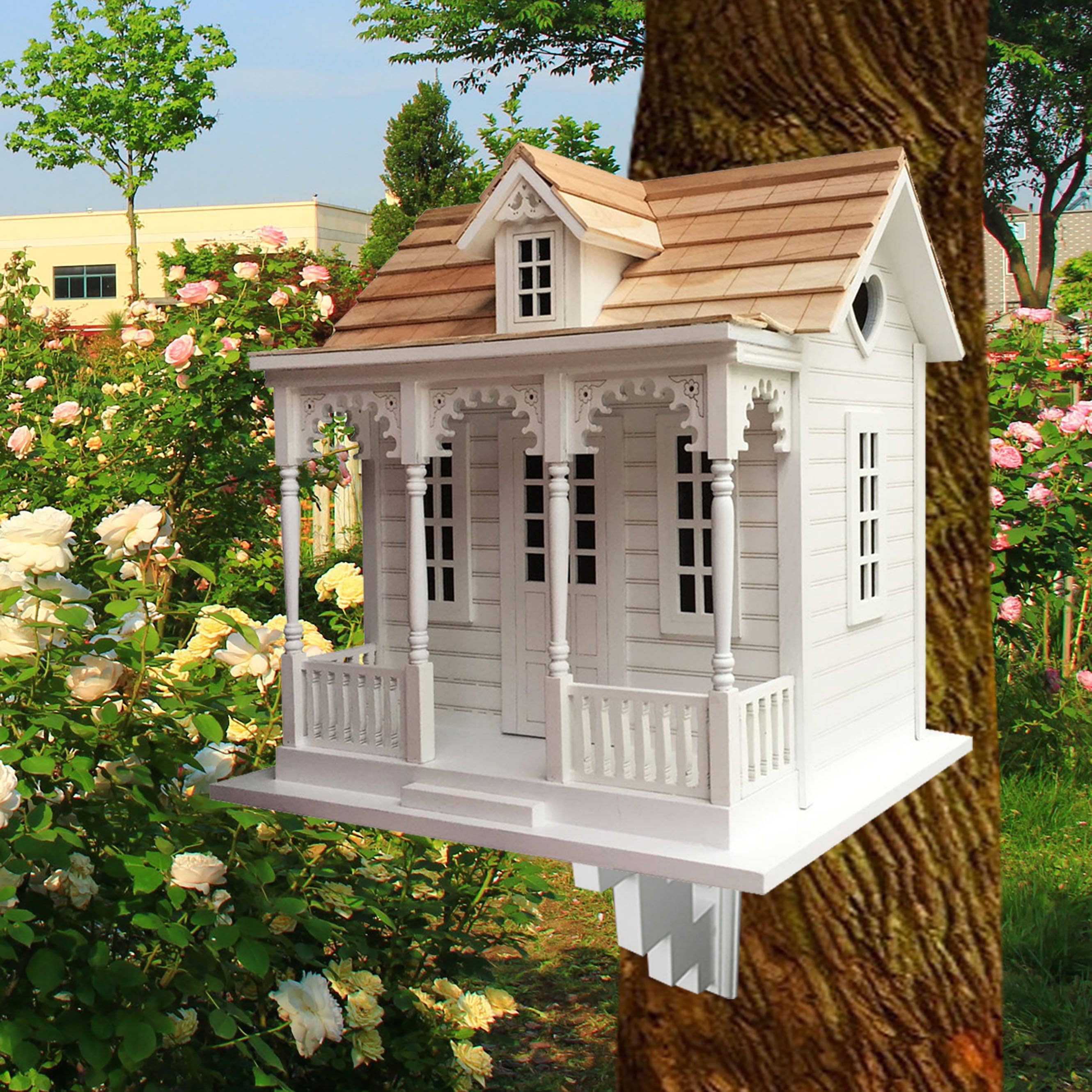 collection-banner-image