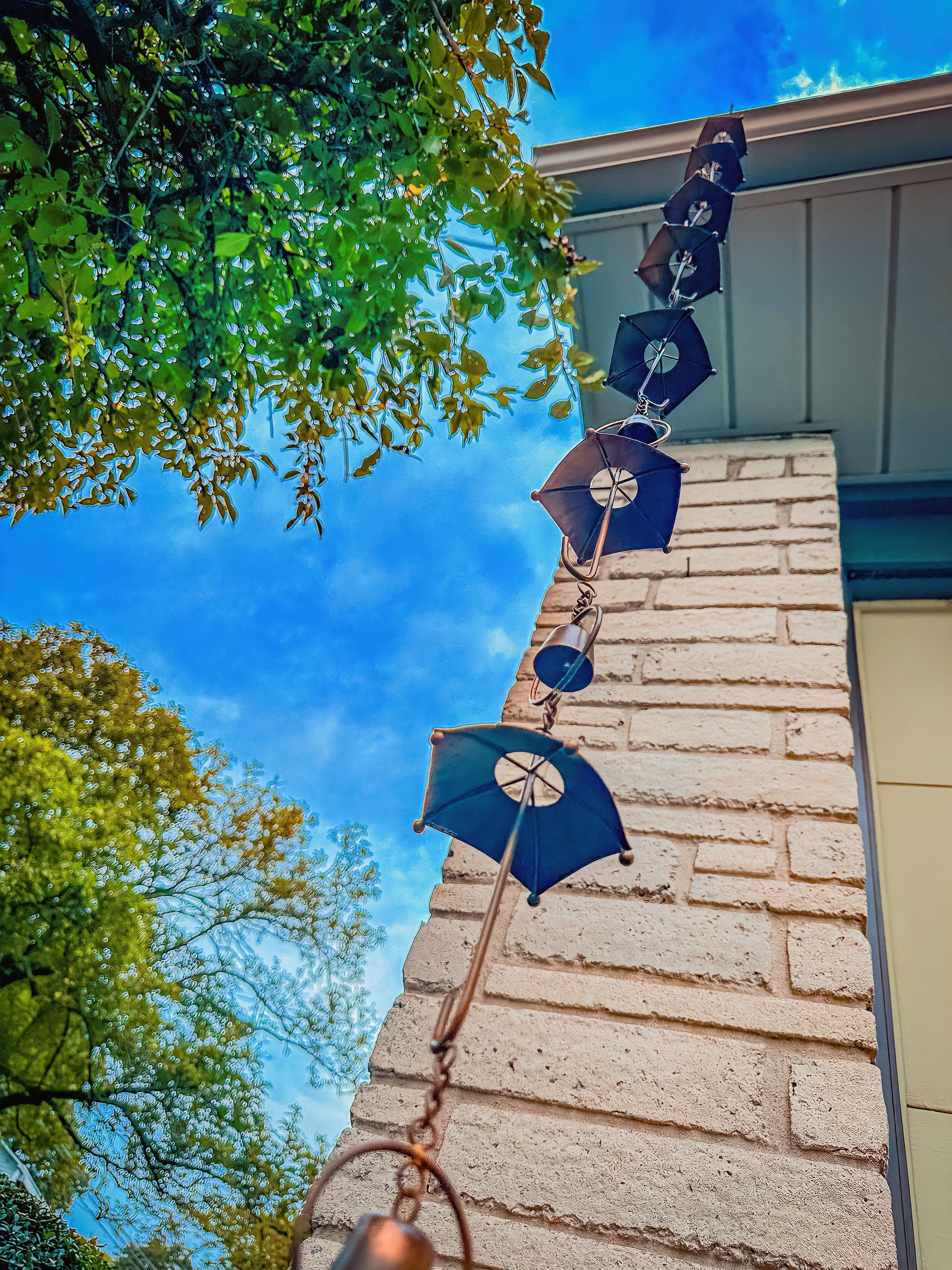 collection-banner-image