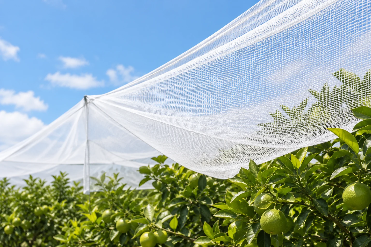 Hail netting for garden protection