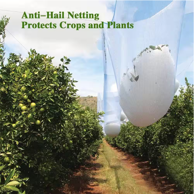 Hail netting for garden protection